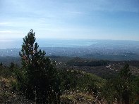 hiena dell Asino20100912 042